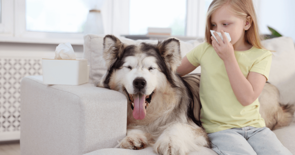 Dog Bad Breath: Causes, Prevention & Treatment